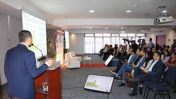 Honduras frente a una crisis forestal: la pérdida de bosques avanza y el tiempo para actuar se agota