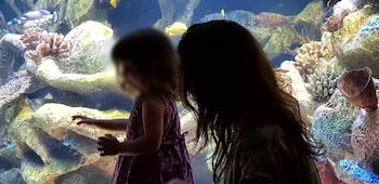 La pequeña Mimi junto a