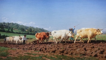 La belleza del día: “El