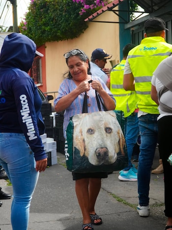 El TSE reformó cuatro reglamentos electorales y definió que los llamados al voto, la promoción de imagen y la pauta electoral fuera de tiempo pueden configurar una infracción.