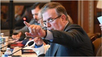 El titular de la SRE