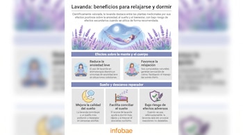 Infografía con título sobre lavanda, mujer en hamaca en campo de lavanda nocturno, ilustraciones de meditación y sueño, y logo Infobae.