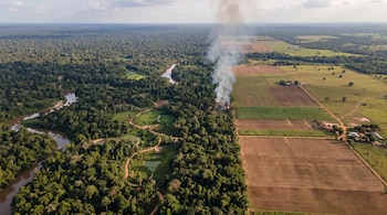 Vista aérea de una selva densa junto a campos de cultivo, un río sinuoso y una columna de humo que surge entre la vegetación.