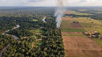 Un estudio afirma que evitar los incendios forestales es mejor que sembrar árboles para salvar la Amazonía