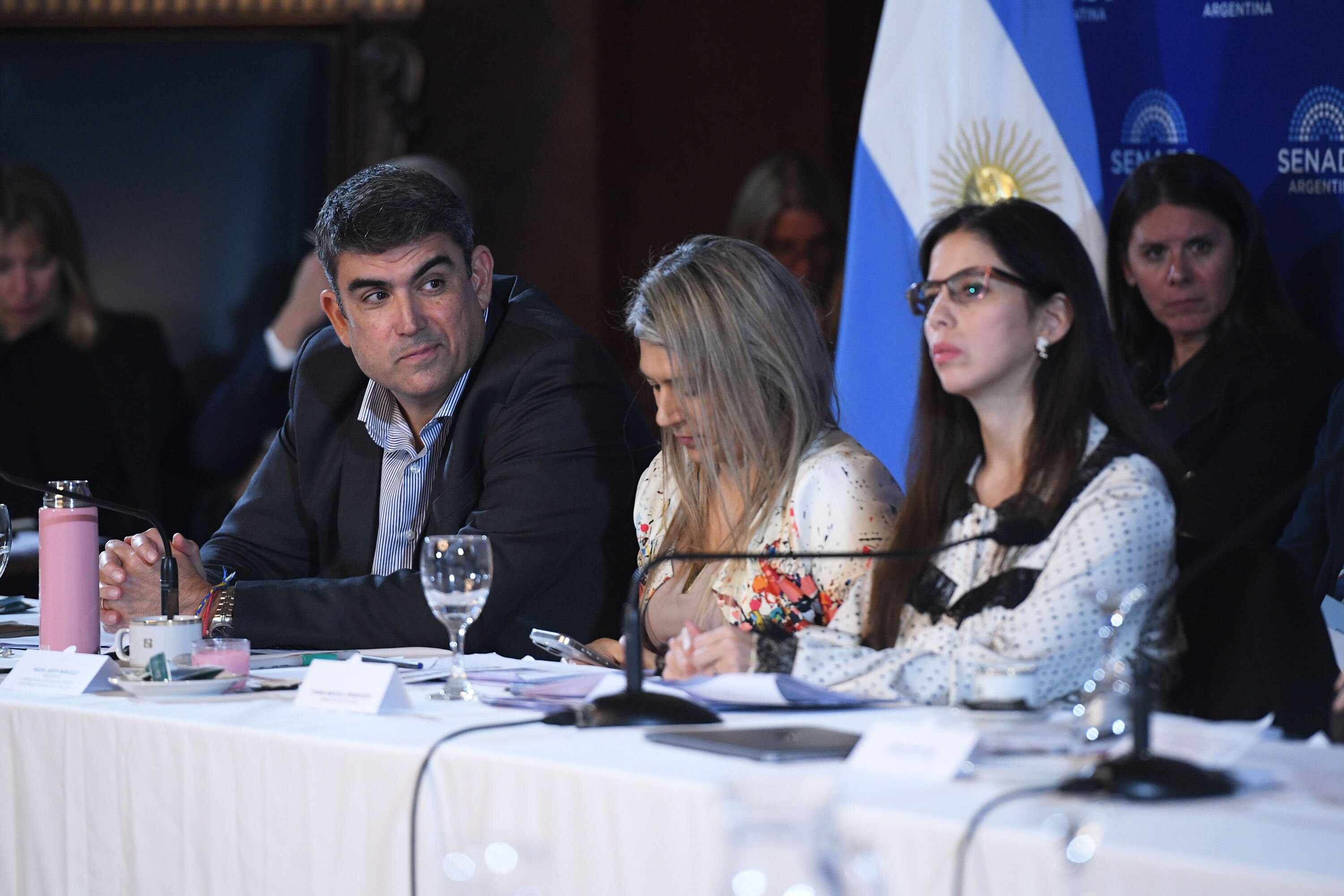 Argentina propone reformar la ley de salud mental para facilitar internaciones involuntarias — image 6