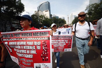 Se ha pedido que los