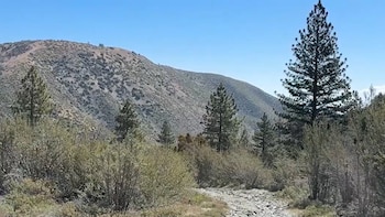 Vecinos de Wrightwood organizan una campaña contra un proyecto minero en California