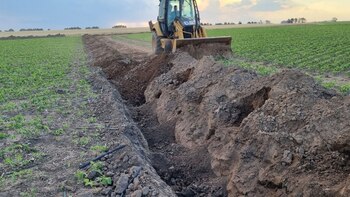Córdoba posee más de 10.000