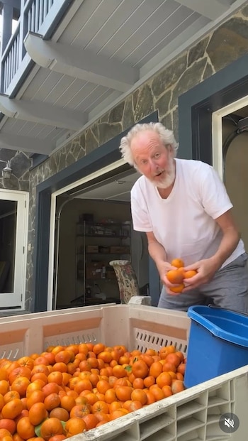 Stern cultiva mandarinas en su