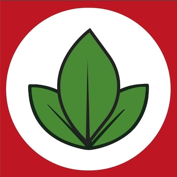 JNE analiza tacha contra Venceremos