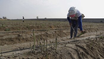 La producción nacional de Perú