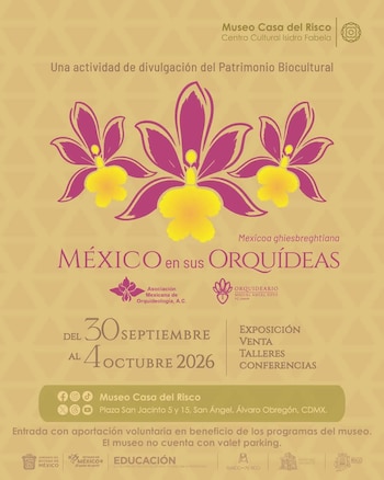 Las orquídeas crecen en distintos entornos según la especie: en tierra, sobre troncos de árboles o entre rocas. (Instagram/@museocasadelrisco)