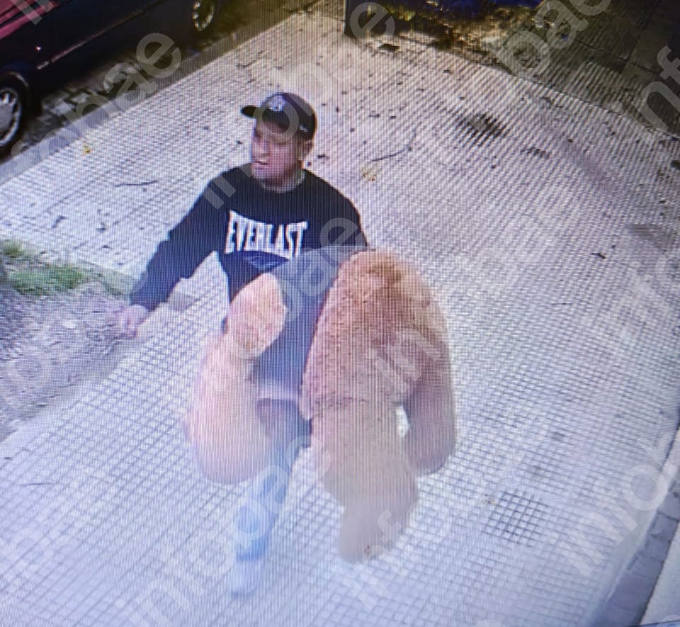 El delincuente se dio a la fuga caminando con el peluche en la mano