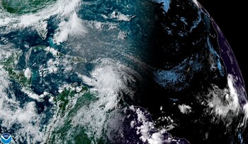 Fotografía cedida este viernes por