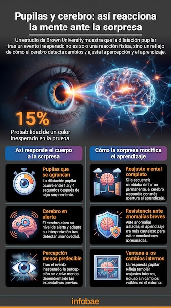 Infografía con una ilustración de un ojo y un cerebro, texto principal sobre la reacción a la sorpresa, y paneles con estadísticas y explicaciones.