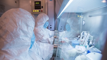 Cómo están respondiendo Rusia y el mundo a un posible caso de peste neumónica tras la muerte de un trabajador de laboratorio