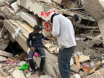 Un perro de rescate permitió localizar al menor entre los restos de la vivienda colapsada en el sur de Cali - crédito Bomberos Cali