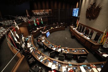 El Senado de Bolivia (EFE/Martín Alipaz/Archivo)