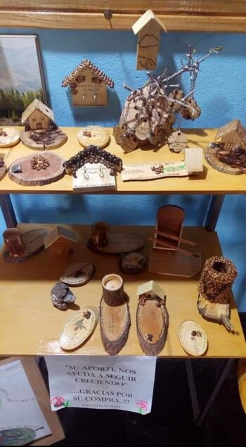 Huinganco Museo del Árbol y la Madera