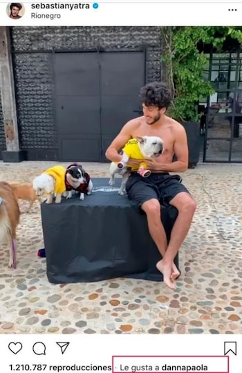 Los constantes likes de Danna