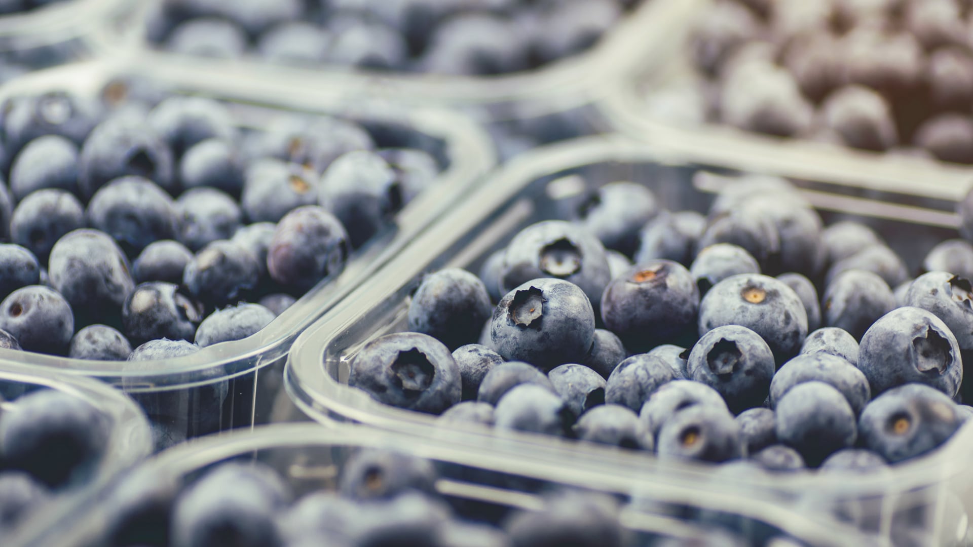 Publix retira blueberries GreenWise por posible E. coli: qué lote revisar