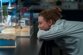 Una mujer de cabello rojizo recogido, con una bata blanca de laboratorio, se inclina para observar un ratón en un recinto transparente sobre una mesa oscura