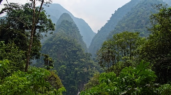 Selva montañosa con múltiples picos cubiertos de árboles frondosos de color verde intenso bajo un cielo brumoso