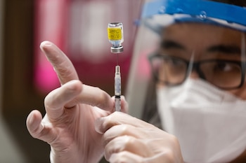 Hasta ahora han sido inmunizados