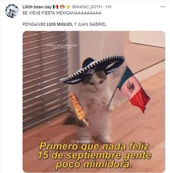 (Foto: captura de pantalla Twitter)