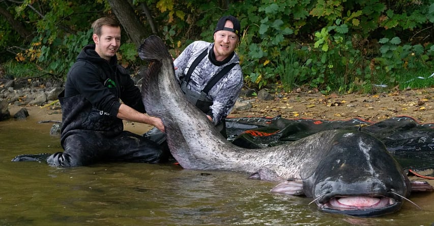 Aficionado alemán logra en Polonia la captura más larga de la pesca deportiva europea