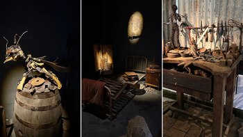 Campus Sur, una nueva plataforma