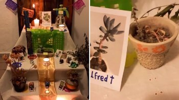 Usuario de TikTok dedica ofrenda