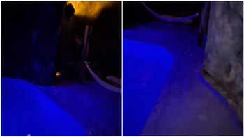 motel cenote (Captura de pantalla/Tiktok)