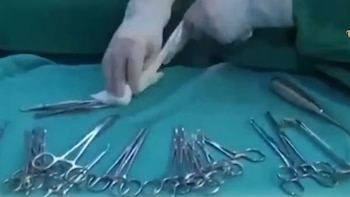 La caída de larvas durante