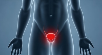 La bacteria Escherichia coli, presente