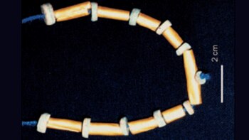 El hallazgo del collar fue