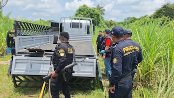 La Policía Nacional Civil localizó el camión JAC con placas C-575CBJ en un cañaveral de la finca Flamenco, en la zona 4 de Retalhuleu./ (PNC de Guatemala)