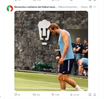 Un hombre en indumentaria deportiva de pie en un campo de césped. Una pared de piedra con el logo de un puma blanco y figuras borrosas