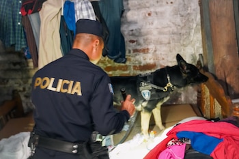 Un agente policial, acompañado de