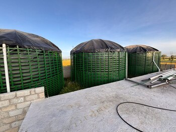 Lo hallado en el lugar
(FGR)