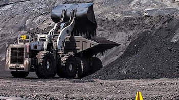 La medida de prohibición a