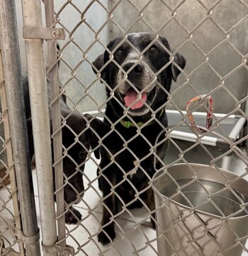 Rigsby recibió una nueva oportunidad.