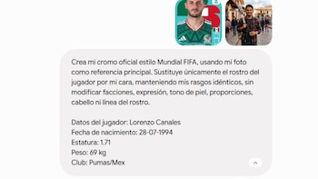 Prompt para estampa Panini