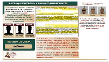 Magistrados que beneficiaron al hijo de 'El Marro'. (Gobierno de México)