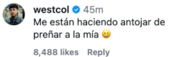 Westcol habló semanas atrás sobre la posibilidad de convertirse en padre - crédito @westcol / Instagram