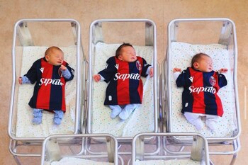 Los bebes nacidos en Bolonia