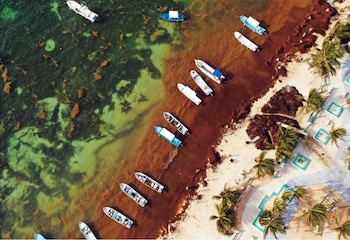 Vista aérea de los esfuerzos