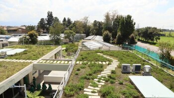 Centro de Atención de Flora