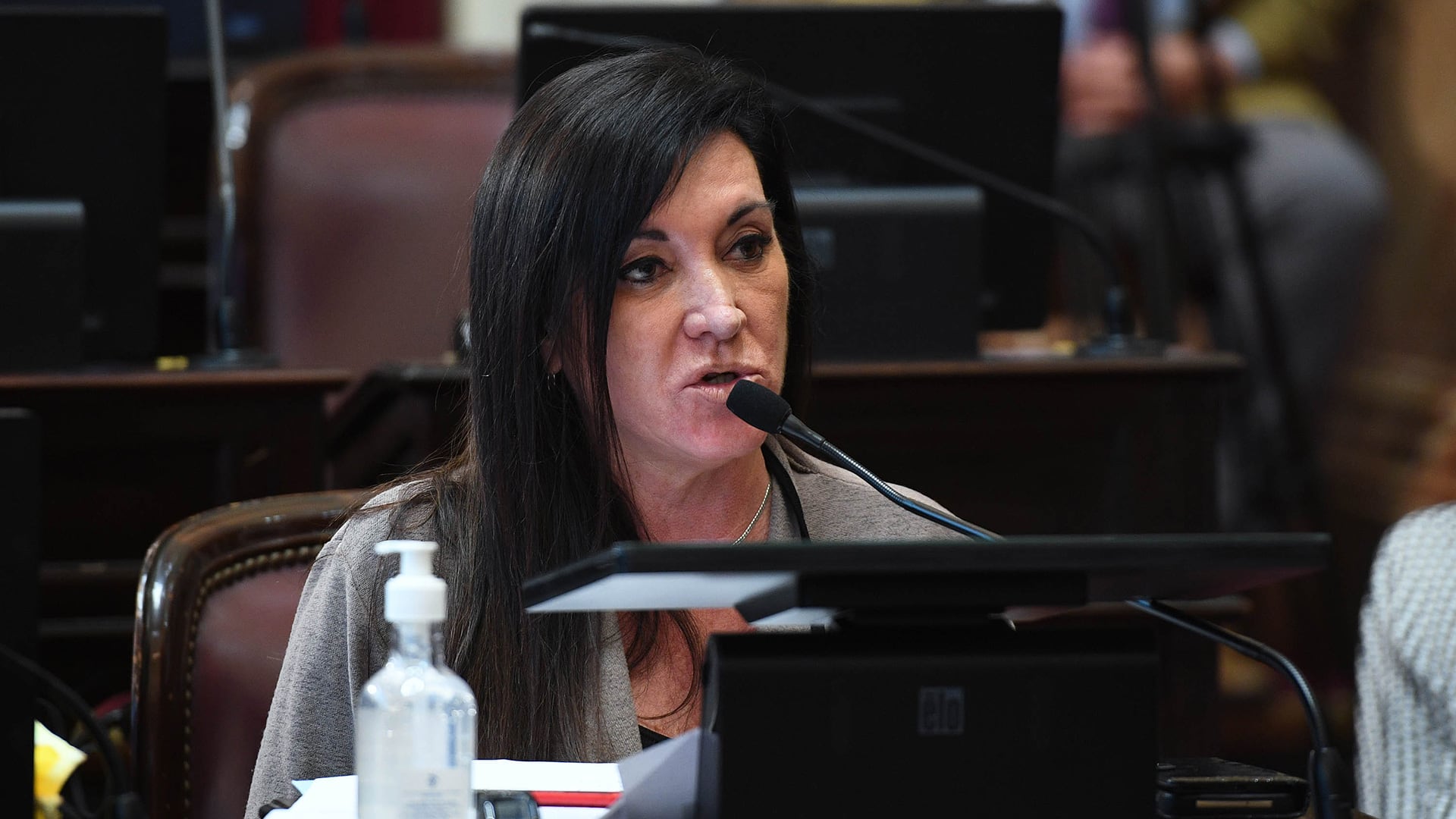 La diputada Laura Machado intenta acercar posiciones con los aliados del oficialismo. Foto: ÊCELESTE SALGUERO/COMUNICACIîN SENADO.