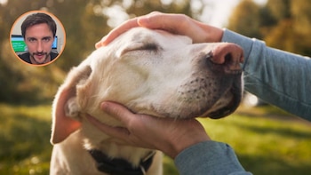 Juan Manuel Liquindoli, adiestrador canino: “5 comportamientos que no son lo que parecen y que te van a ayudar a entender a tu perro”